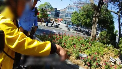 剧毒！广东一市民等红灯时，路边花基突然钻出一条眼镜王蛇