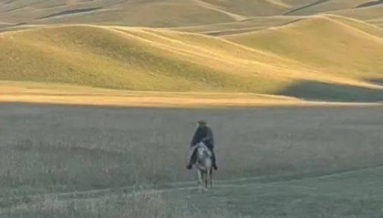 新疆男子在外工作偶然回家,父亲骑马飞奔迎接,感人一幕被拍下:爸爸快马加鞭从羊群赶回来