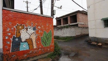 报告反映某地村屋闲置率高达43.8%,盘活宅基地要慎重