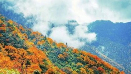 四川多个景区官宣免门票