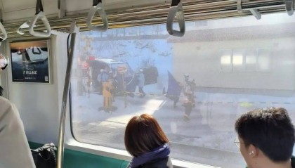 正在拍照,女游客被撞身亡