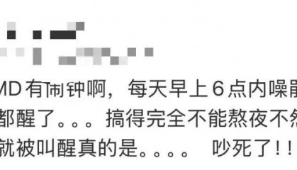 “周末想睡个懒觉都不行”，有多少深圳人被这种鸟吵到神经衰弱