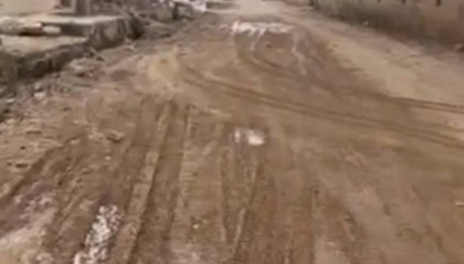 西安男童遭恶犬咬伤续:家属称接到犬主方来电,治疗已花7万