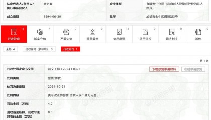 篡改、伪造工程资料,中铁二院(成都)咨询监理有限责任公司被处罚