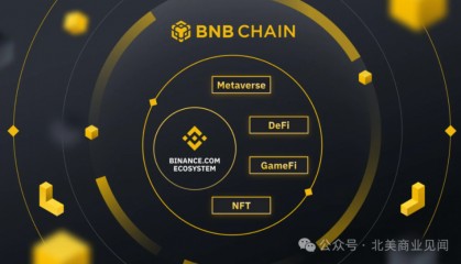 安币交易所(安币交易所官方下载)