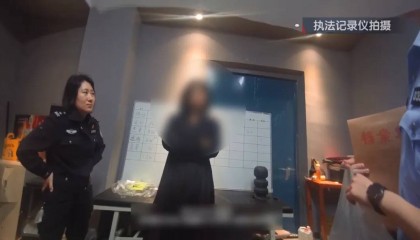 北京“退衣姐”被刑拘，利用同小区长期空置房屋地址下单，再找跑腿帮取件