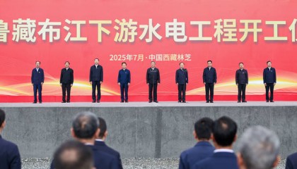 金灿荣:印度吓坏了,雅江水电站我只能说这么多了