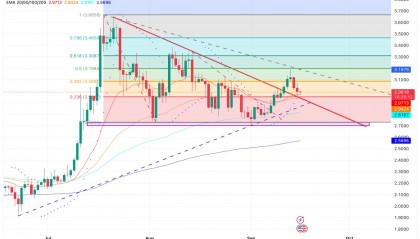 包含XRP-瑞波币官方网站的词条