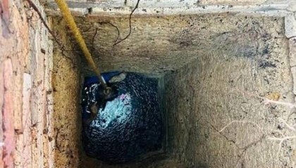 美国一女子与蛇一起被困井底，有两条蛇还试图协助救援