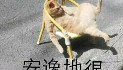 华西专家喊你补维生素D？因为50％的中国人（85％的成都人）就是不足！