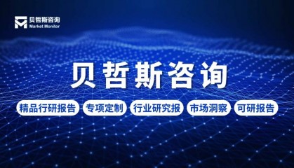 付款分析软件市场-国内外供需