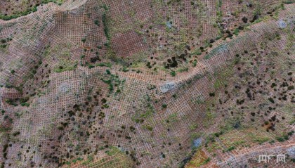 【习声回响】一代接着一代干 让绿洲不断向沙漠深处延伸