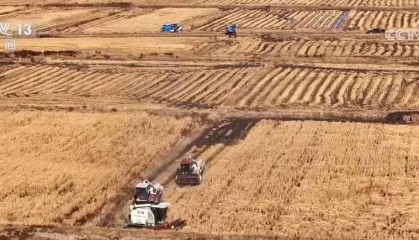 “绝技”，北斗赋农！收玉米、割水稻……又是一个丰收季