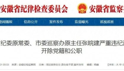 严重违纪违法,安徽3名干部被“双开”