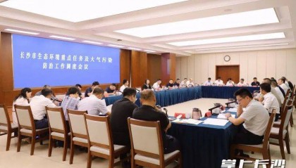 长沙市副市长:必须出重拳、下猛药、求实效