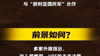 针对叙总统阿萨德的“最致命组织之一”，是何来头？