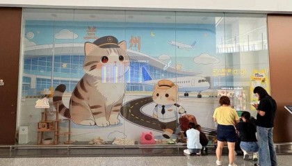 兰州机场“捕鼠办”走红 官方回应：流浪猫为一家三口，享专人照顾待遇