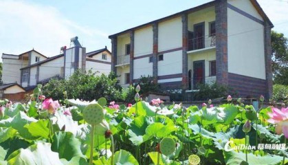 武汉夫妇郑州寻找失联23年侄女，当面交还2套房