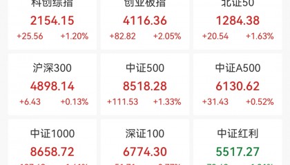 A股全线上涨！稀土股飙升，600392，直线拉涨停