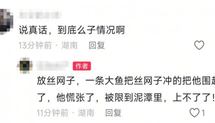 益阳一河中有大鱼把人拖下水吃掉？当地多方辟谣：吃人不实