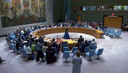 14：1！俄罗斯当场一票否决，中美罕见达成一致？局势出乎预料