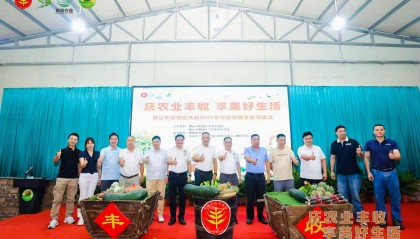 总产值超147亿元!佛山顺德庆祝2025年中国农民丰收节