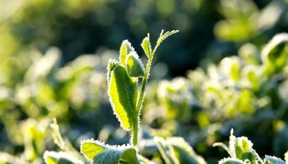 本周气温虽有起伏，但整体寒意持续加码