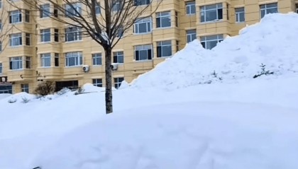 鹤岗暴雪过后,车主开启挖宝寻车模式
