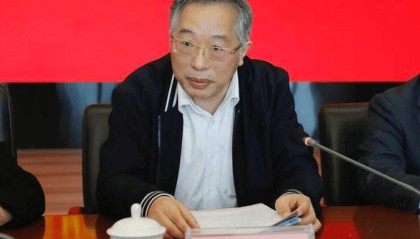 童亚辉，主动投案