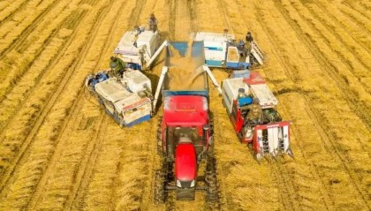 “二十一连丰”，中国粮食过剩了吗？