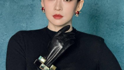 章子怡执导的首部长篇电影《游过海岸一百米》公布立项!网传文淇将出演女二号