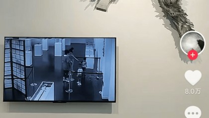 上海一博物馆循环播放12年前“熊孩子”损坏展品视频，馆方：起警示作用