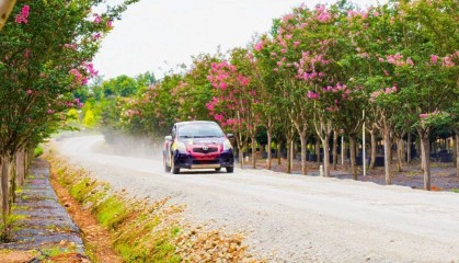超燃！在花海里狂飙｜有一种叫云南的生活之365天