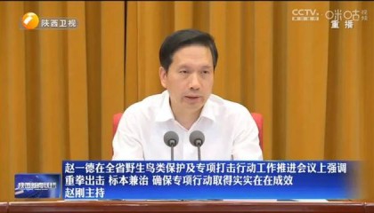陕西省委书记发声：重拳出击、高压震慑