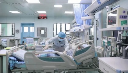 一锅汤放倒佛山一家6口 警惕：此物剧毒！