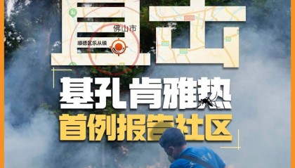 直击首例基孔肯雅热报告社区:下水井盖都加装纱网和胶带,已很难见到一只蚊子!千人投入“防蚊战”