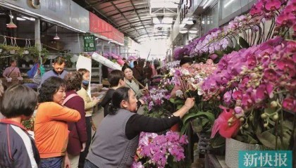 太火了！广州有商家一天卖出平时一个月的花