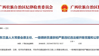 被查后又晋升，潘宗柏今被双开