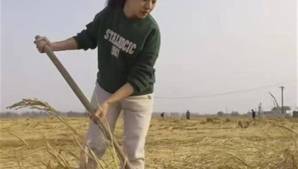 “我爸说这属于欺骗”，推介大米的副局长道歉，她自称又有新计划