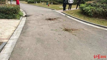 女子与男友吵架后从8楼扔下3个花盆险砸中路人，被判拘役并处罚金