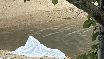 香港一公园惊现女尸！一对夫妇被拘，事发后曾匆匆前往内地