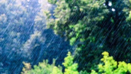 “几天下一年的雨”,防灾减灾关键在哪?