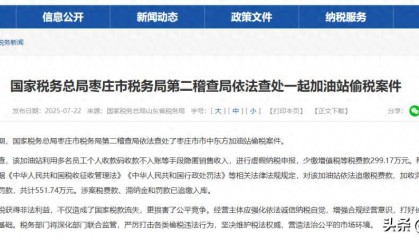 枣庄一加油站偷税299.17万元!被查