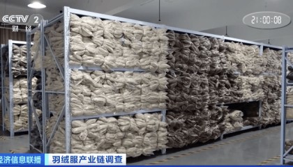 今年羽绒服价格大涨?每件涨200-500元!原因竟与猪价有关?