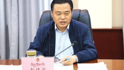 刘传河,被查