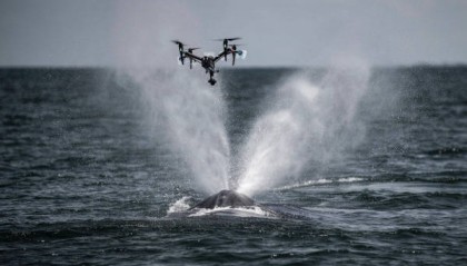 美国科学家震惊:封杀中国无人机,“简直是疯了!”