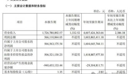 取代英伟达,寒武纪靠DeepSeek卖爆“中国芯”