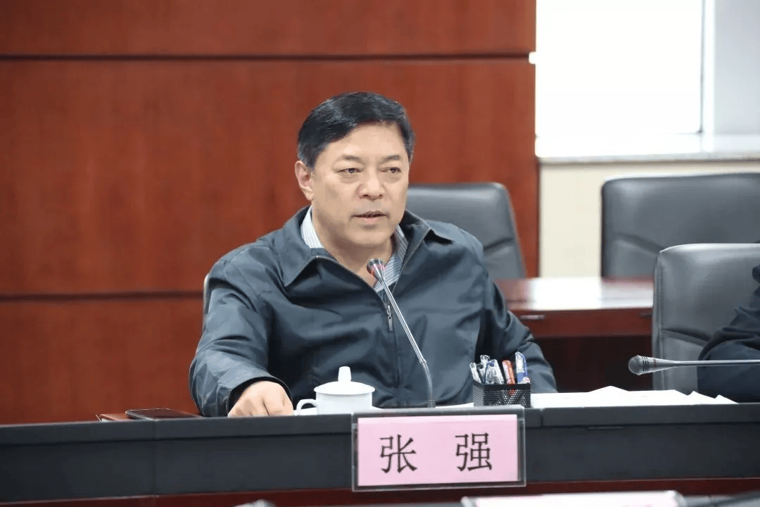 广东省委批准，开除张强党籍