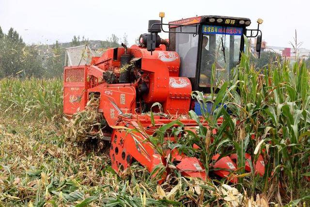 应对持续阴雨天气,山东积极行动保障“三秋”生产