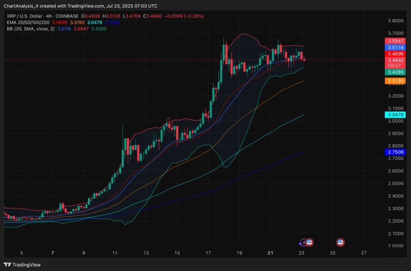包含XRP-瑞波币官方网站的词条 包含XRP-瑞波币官方网站的词条